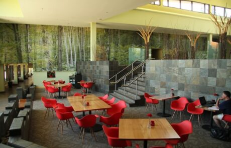 Lakeview Hecla Resort – Dining area Lakeview Hecla Resort - Dining area