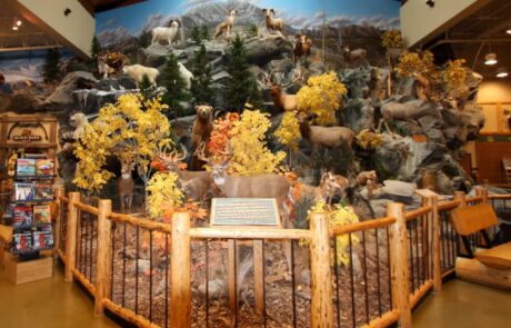 Interior Image – Cabela’s Canada Interior Image of Cabela's Canada
